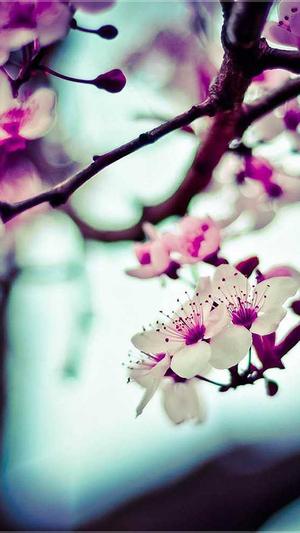 自己搭建蜘蛛池截图4