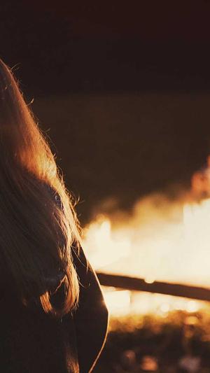 昆明网络推广昆明网站建设昆明昆明截图2