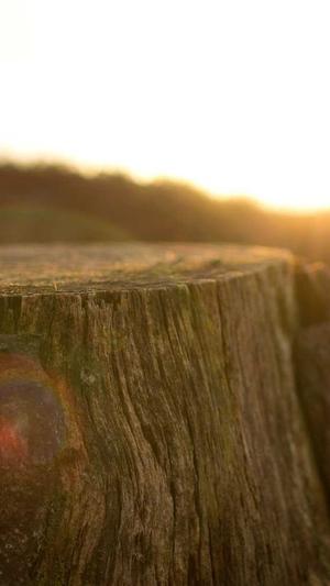 蜘蛛池有必要吗截图4