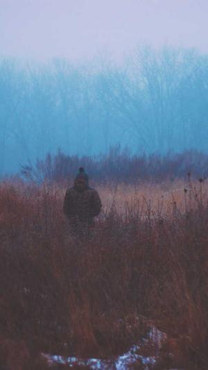 搜狗蜘蛛池如何建立截图3