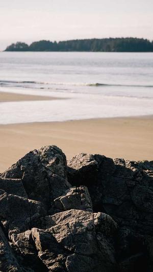 自己建蜘蛛池的方法截图2