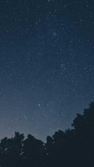 seo批量查询工具截图2