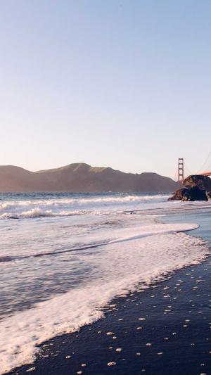 seo百度秒收录泛目录截图1