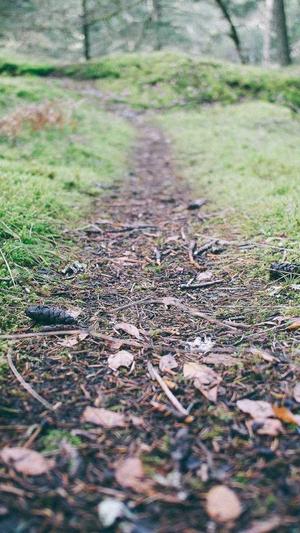 东台网站建设截图2