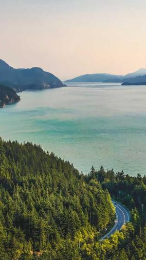 广州seo关键词优化工具截图1