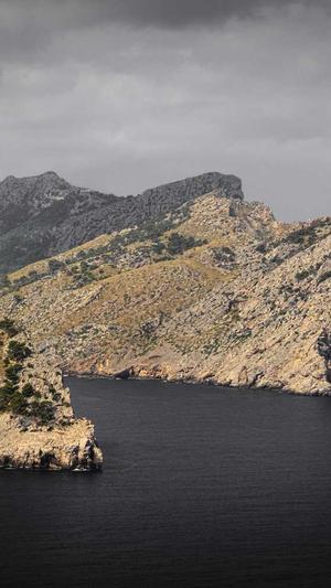 泛目录和寄生虫的区别截图3