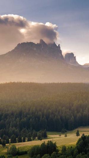 泛目录程序 破解版截图2