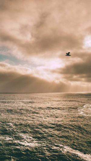 福州seo优化工具外包截图1