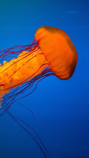 谷歌seo排名查询工具截图2