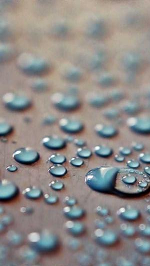 博客seo优化截图2