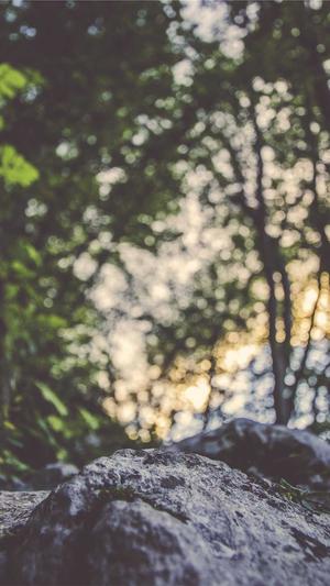 谷歌seo排名查询工具截图4