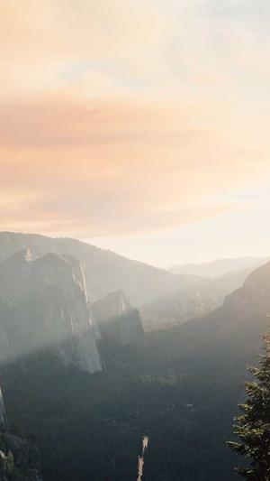 蜘蛛池和寄生虫区别截图1