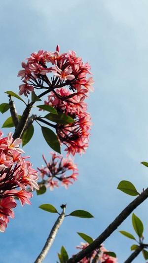 零距离泛目录截图4