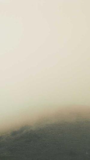 seo基础教程截图2