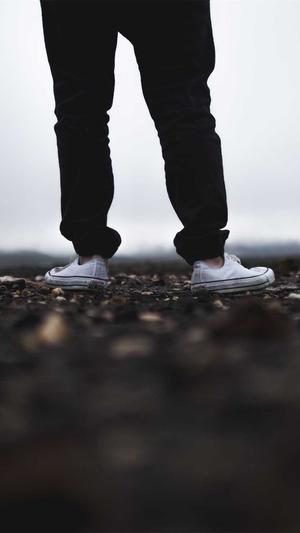 野外建造蜘蛛池截图2