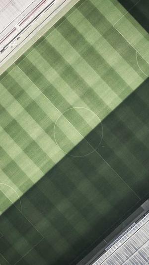 seo优化软件工具截图2